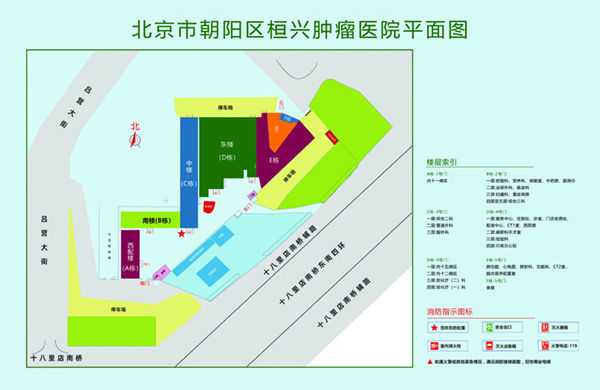 大鸡吧操逼逼北京市朝阳区桓兴肿瘤医院平面图